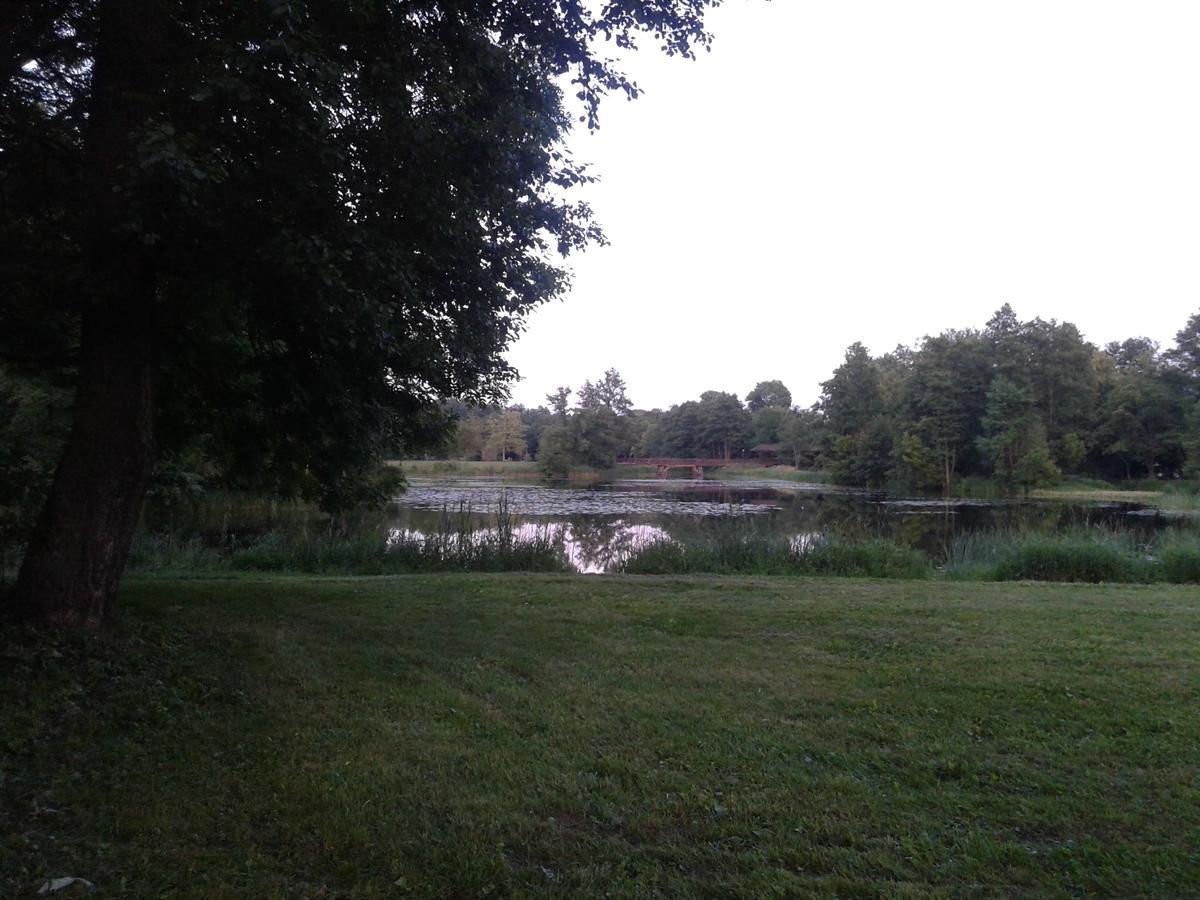 Cztery Pory Roku Guest House Bialowieza Bagian luar foto