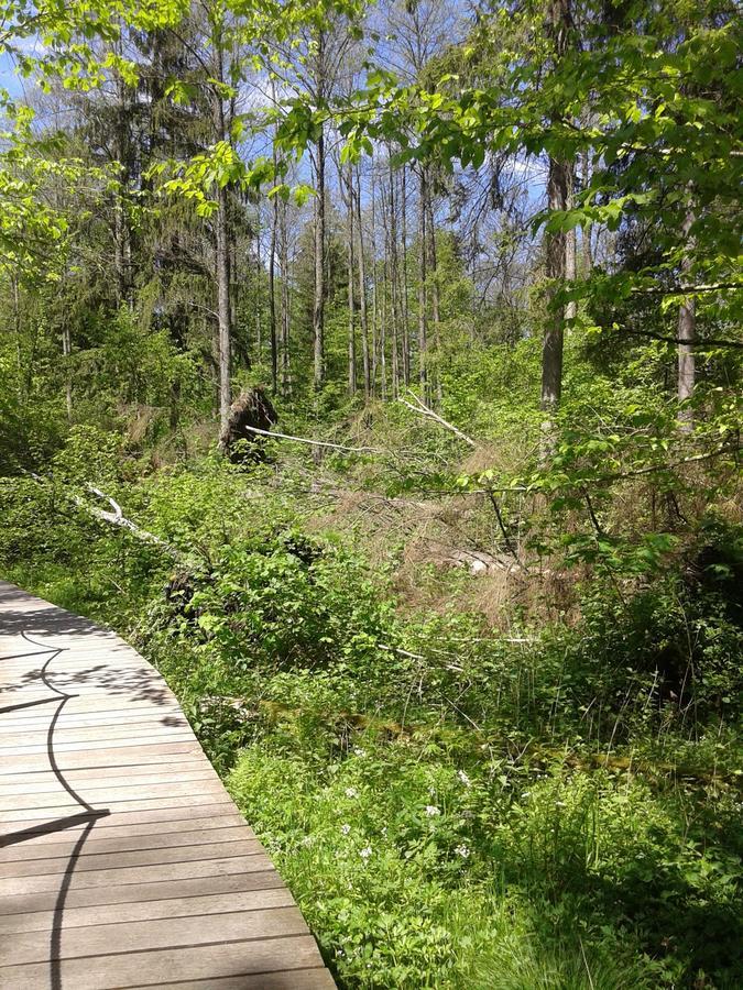 Cztery Pory Roku Guest House Bialowieza Bagian luar foto