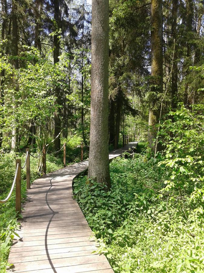 Cztery Pory Roku Guest House Bialowieza Bagian luar foto